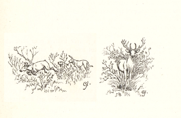Illustration tirée du Manuel de Vènerie française - Emmanuel Le Couteulx de Canteleu (1890) - Hachette et Cie (Paris) - BnF (Gallica) 5